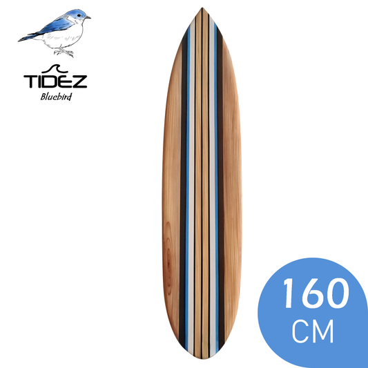 Tidez Bluebird 160cm